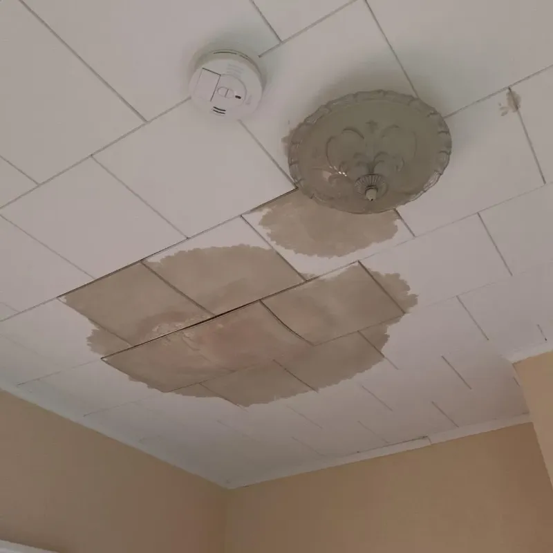 Ceiling Water Damage Repair in Miller, SD