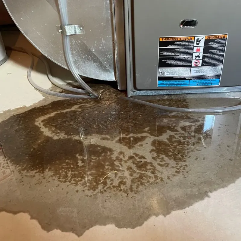 Pipe Burst and Leak Restoration in Miller, SD