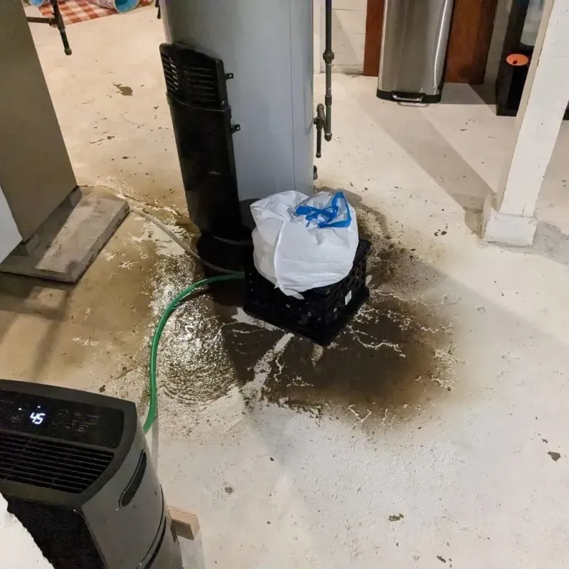 Sewage Backup Cleanup Service in Miller, SD